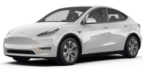 TESLA MODEL Y 2024 7SAYGDEE7RF077198 image